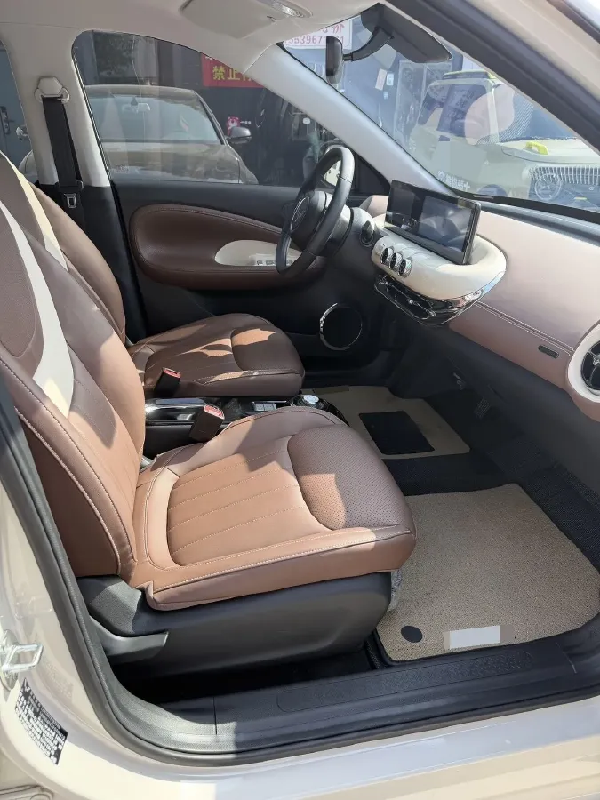 2024 WuLing BinGuo BEV 31.9KWH,autocango,china used car exporter,china ev exporter,chinese used car exporter,chinese used ev exporter