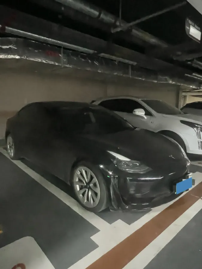 2021 Tesla Model 3 BEV 55KWH,autocango,china used car exporter,china ev exporter,chinese used car exporter,chinese used ev exporter