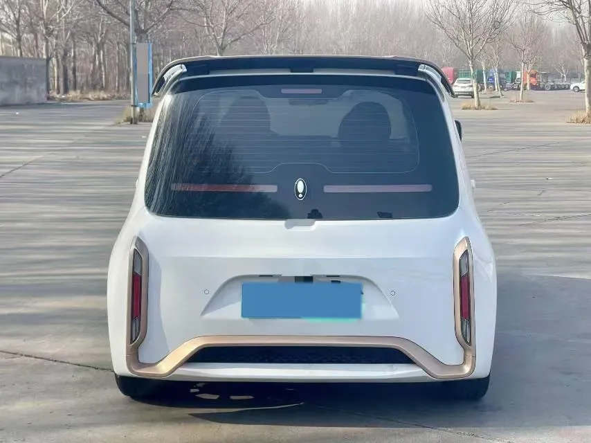 2020 Ora WhiteCat BEV 36KWH,autocango,china used car exporter,china ev exporter,chinese used car exporter,chinese used ev exporter