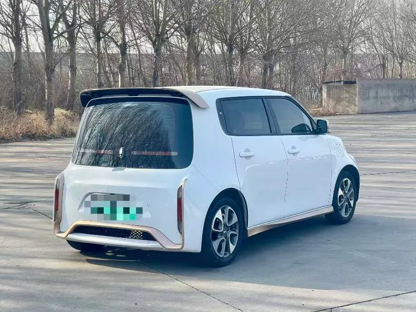 2020 Ora WhiteCat BEV 36KWH,autocango,china used car exporter,china ev exporter,chinese used car exporter,chinese used ev exporter