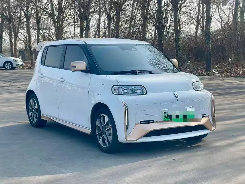 2020 Ora WhiteCat BEV 36KWH,autocango,china used car exporter,china ev exporter,chinese used car exporter,chinese used ev exporter
