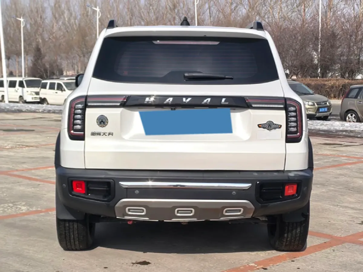 2021 Haval Dargo 2.0T 211HP L4 7DCT,autocango,china used car exporter,china ev exporter,chinese used car exporter,chinese used ev exporter