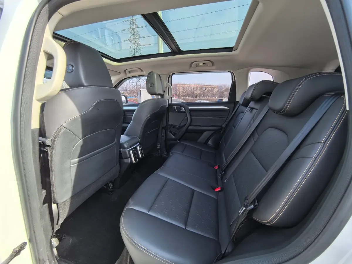 2021 Haval Dargo 2.0T 211HP L4 7DCT,autocango,china used car exporter,china ev exporter,chinese used car exporter,chinese used ev exporter