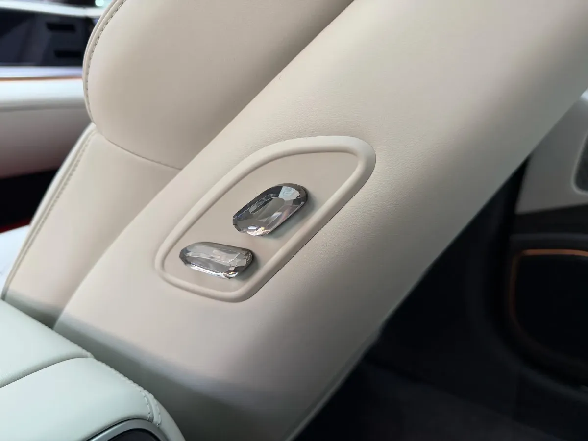 2024 Denza DenzaZ9 2.0T 207HP L4 E-CVT PHEV 38.5KWH,autocango,china used car exporter,china ev exporter,chinese used car exporter,chinese used ev exporter