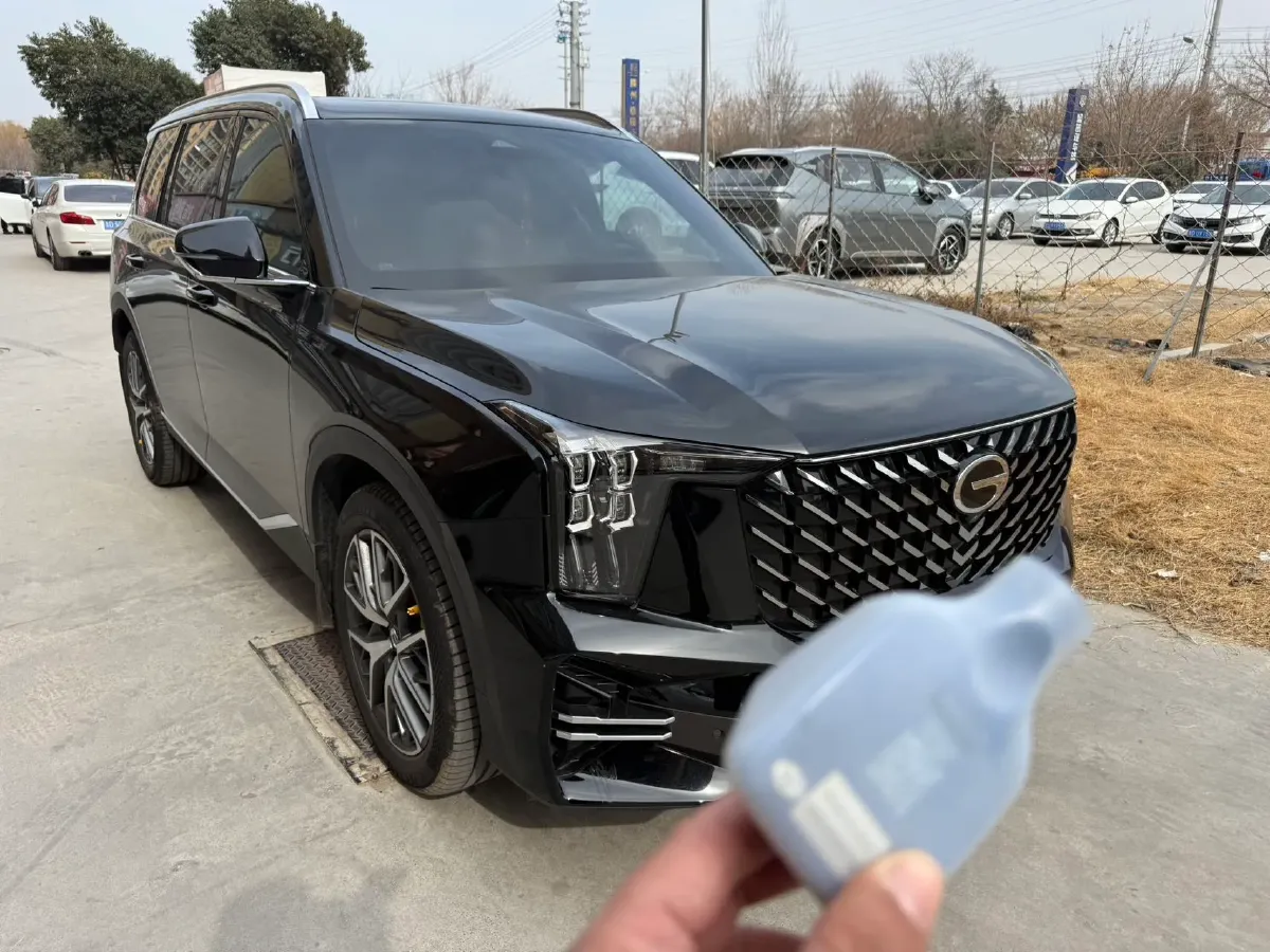 2024 GAC Trumpchi GS8 2.0T 252HP L4 8AT,autocango,china used car exporter,china ev exporter,chinese used car exporter,chinese used ev exporter