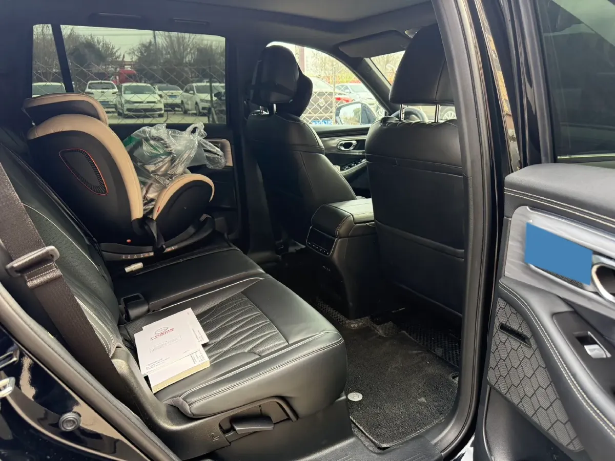 2024 GAC Trumpchi GS8 2.0T 252HP L4 8AT,autocango,china used car exporter,china ev exporter,chinese used car exporter,chinese used ev exporter