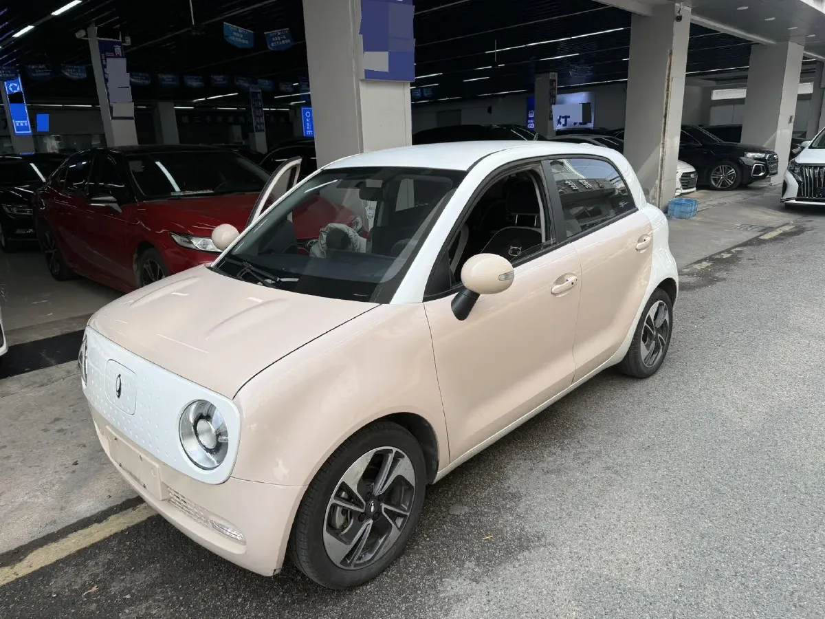 2022 DaYun YueHu BEV 30.66KWH,autocango,china used car exporter,china ev exporter,chinese used car exporter,chinese used ev exporter