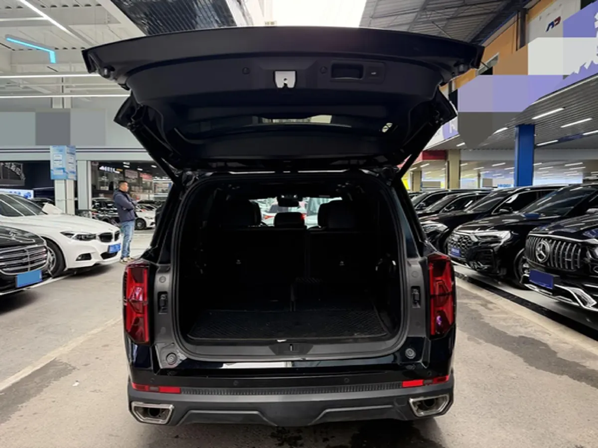 2024 GAC Trumpchi GS8 2.0T 252HP L4 8AT,autocango,china used car exporter,china ev exporter,chinese used car exporter,chinese used ev exporter