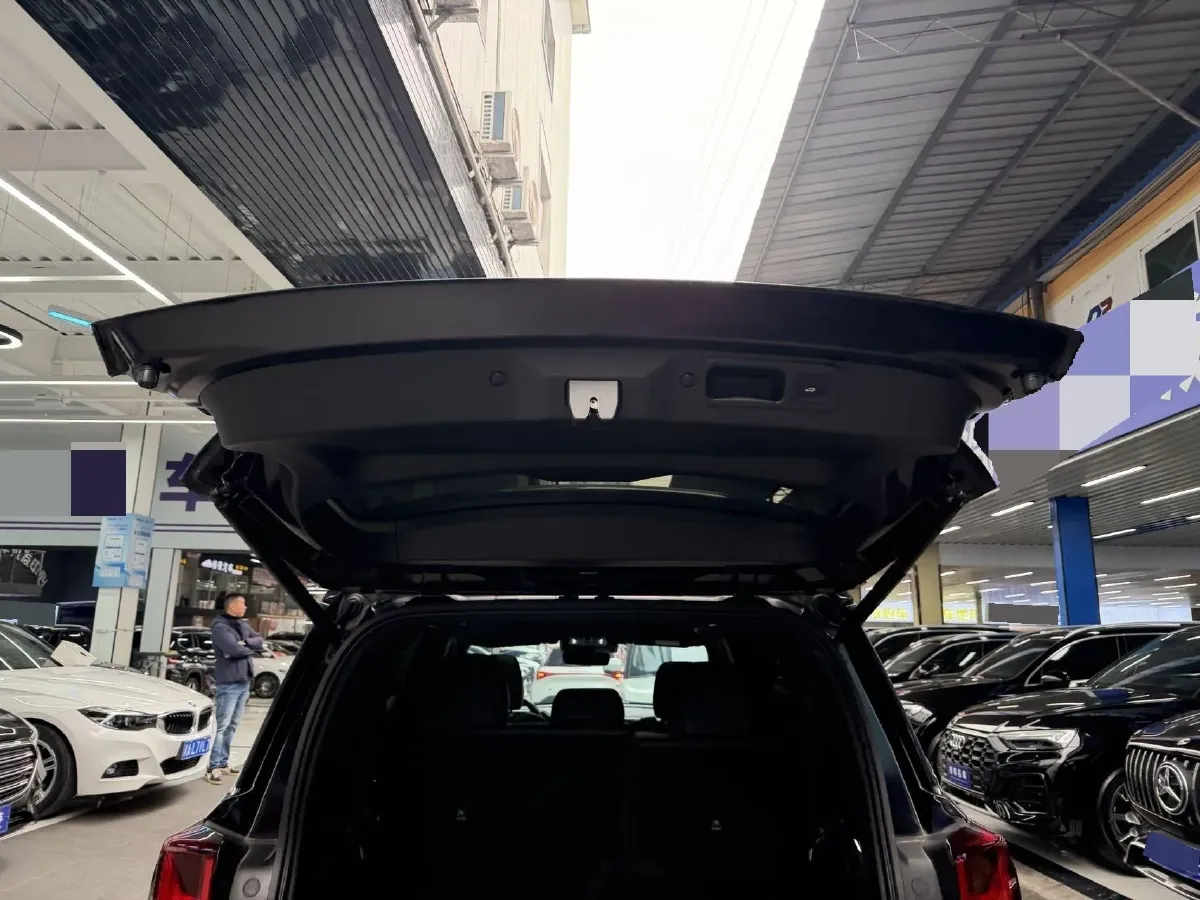 2024 GAC Trumpchi GS8 2.0T 252HP L4 8AT,autocango,china used car exporter,china ev exporter,chinese used car exporter,chinese used ev exporter