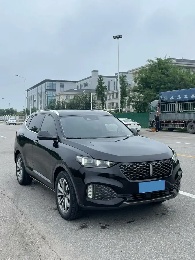 2020 WEY VV6 2.0T 227HP L4 7DCT,autocango,china used car exporter,china ev exporter,chinese used car exporter,chinese used ev exporter