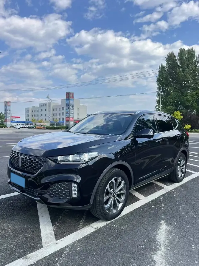 2020 WEY VV6 2.0T 227HP L4 7DCT,autocango,china used car exporter,china ev exporter,chinese used car exporter,chinese used ev exporter