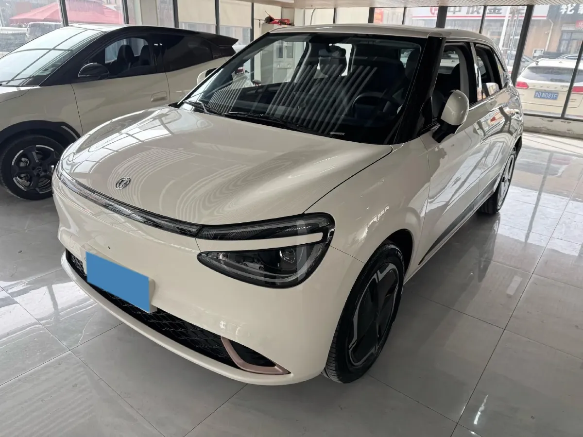 2024 DongFeng eπ 01 BEV 31.45KWH,autocango,china used car exporter,china ev exporter,chinese used car exporter,chinese used ev exporter