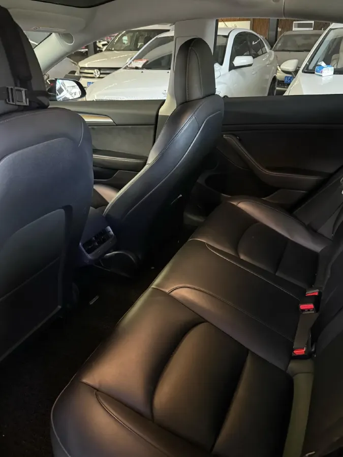 2021 Tesla Model 3 BEV 55KWH,autocango,china used car exporter,china ev exporter,chinese used car exporter,chinese used ev exporter