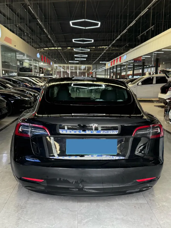 2021 Tesla Model 3 BEV 55KWH,autocango,china used car exporter,china ev exporter,chinese used car exporter,chinese used ev exporter