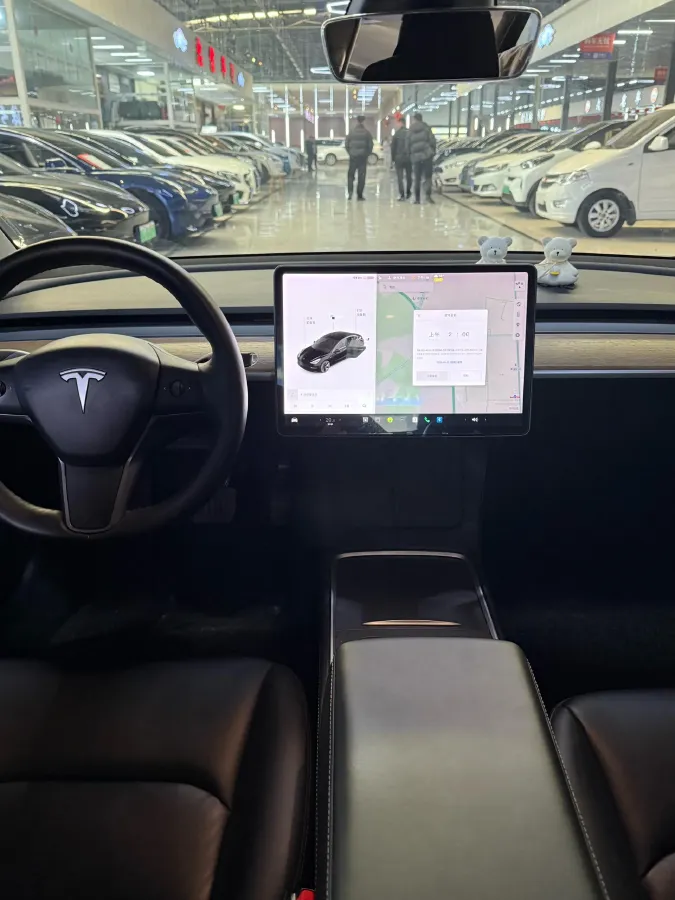 2021 Tesla Model 3 BEV 55KWH,autocango,china used car exporter,china ev exporter,chinese used car exporter,chinese used ev exporter