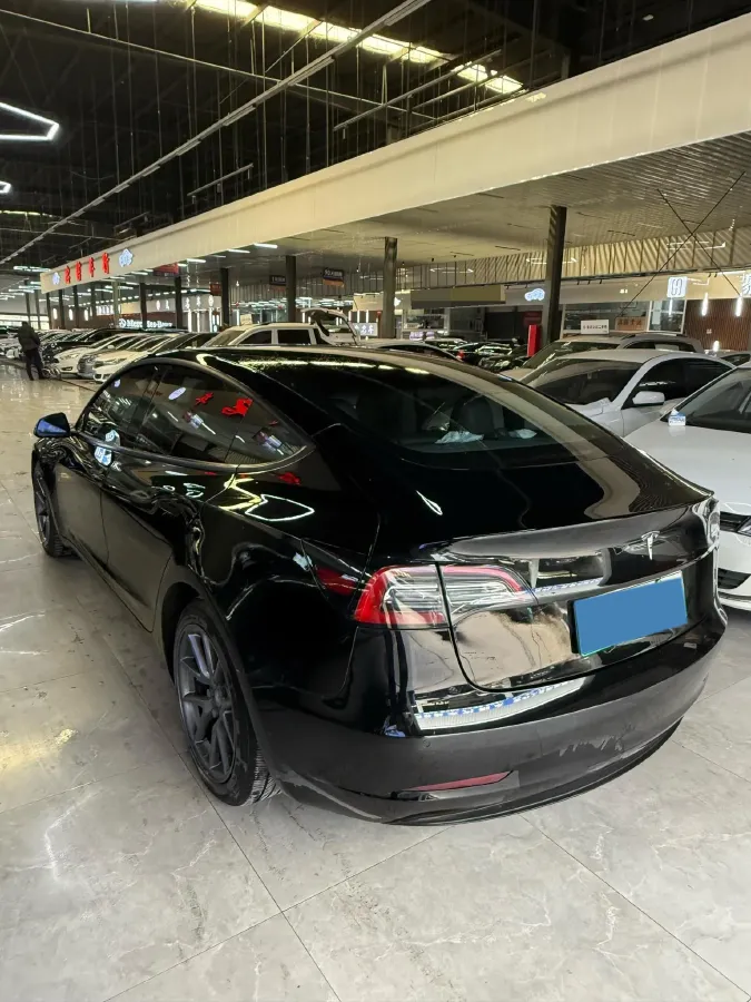 2021 Tesla Model 3 BEV 55KWH,autocango,china used car exporter,china ev exporter,chinese used car exporter,chinese used ev exporter