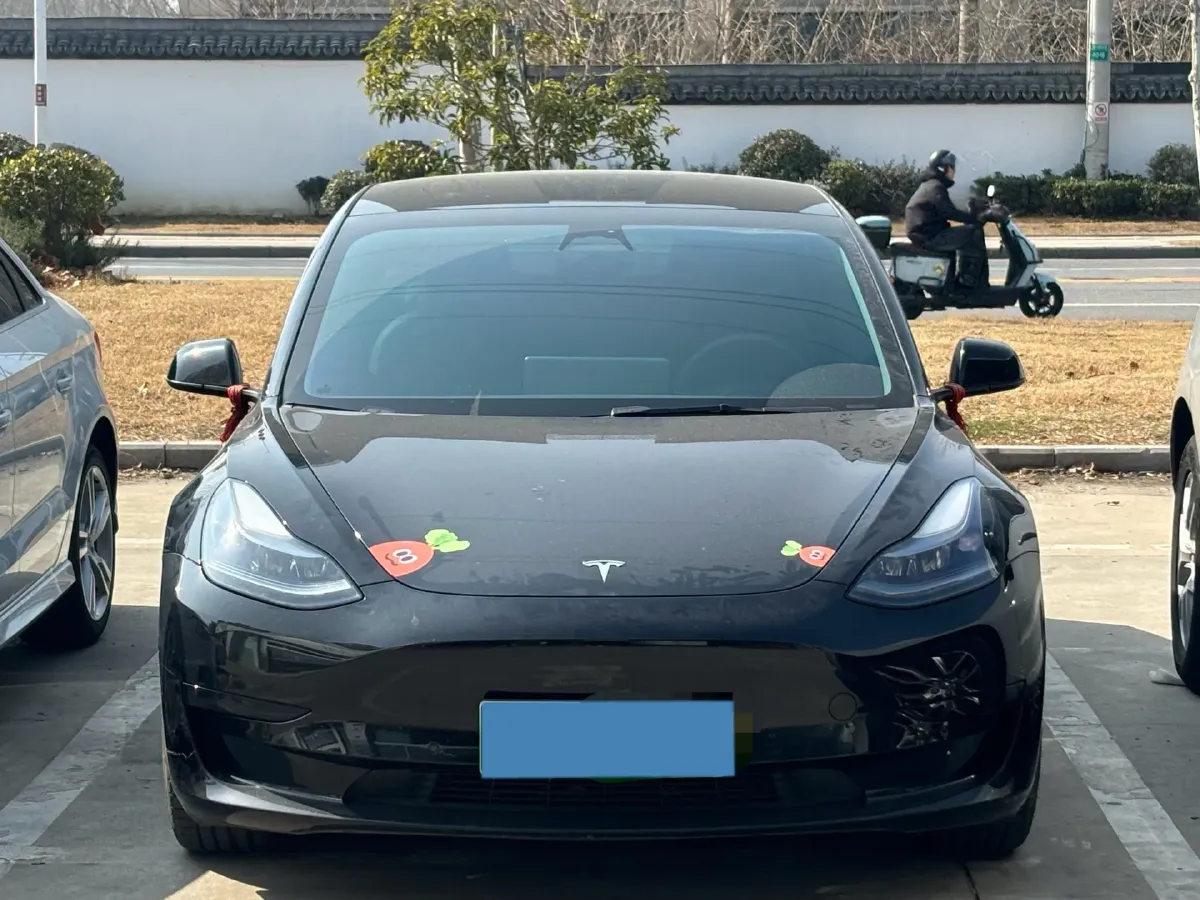 2022 Tesla Model 3 BEV 60KWH,autocango,china used car exporter,china ev exporter,chinese used car exporter,chinese used ev exporter