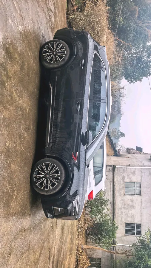 2023 HongQi HS5 2.0T 252HP L4 8AT,autocango,china used car exporter,china ev exporter,chinese used car exporter,chinese used ev exporter