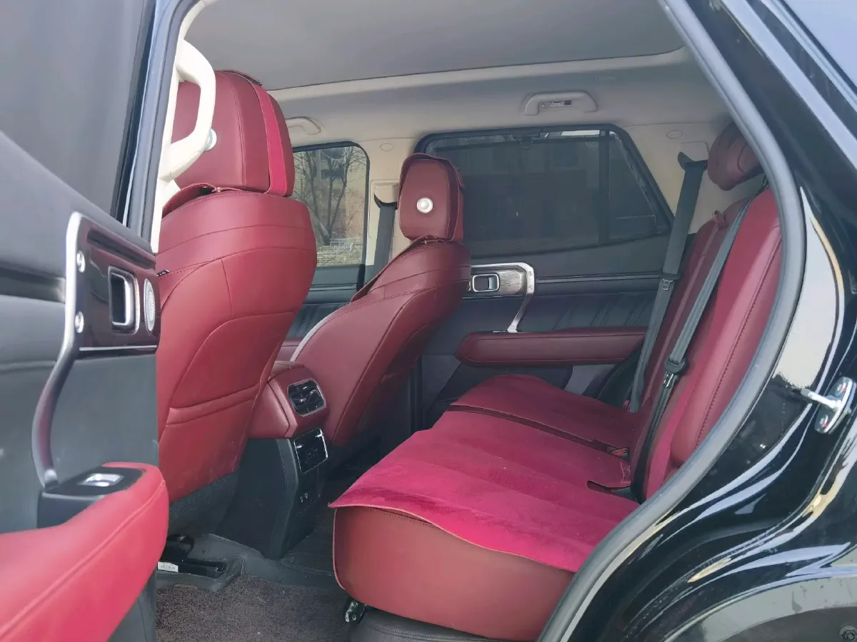 2024 Tank 400 2.0T 252HP L4 9AT PHEV 36.7/37.1KWH,autocango,china used car exporter,china ev exporter,chinese used car exporter,chinese used ev exporter