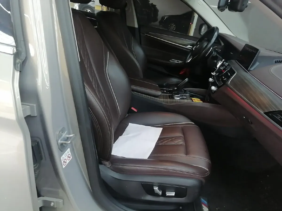 2020 BMW 5 Series 2.0T 252HP L4 8AT,autocango,china used car exporter,china ev exporter,chinese used car exporter,chinese used ev exporter