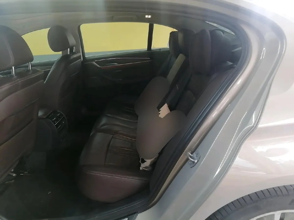 2020 BMW 5 Series 2.0T 252HP L4 8AT,autocango,china used car exporter,china ev exporter,chinese used car exporter,chinese used ev exporter