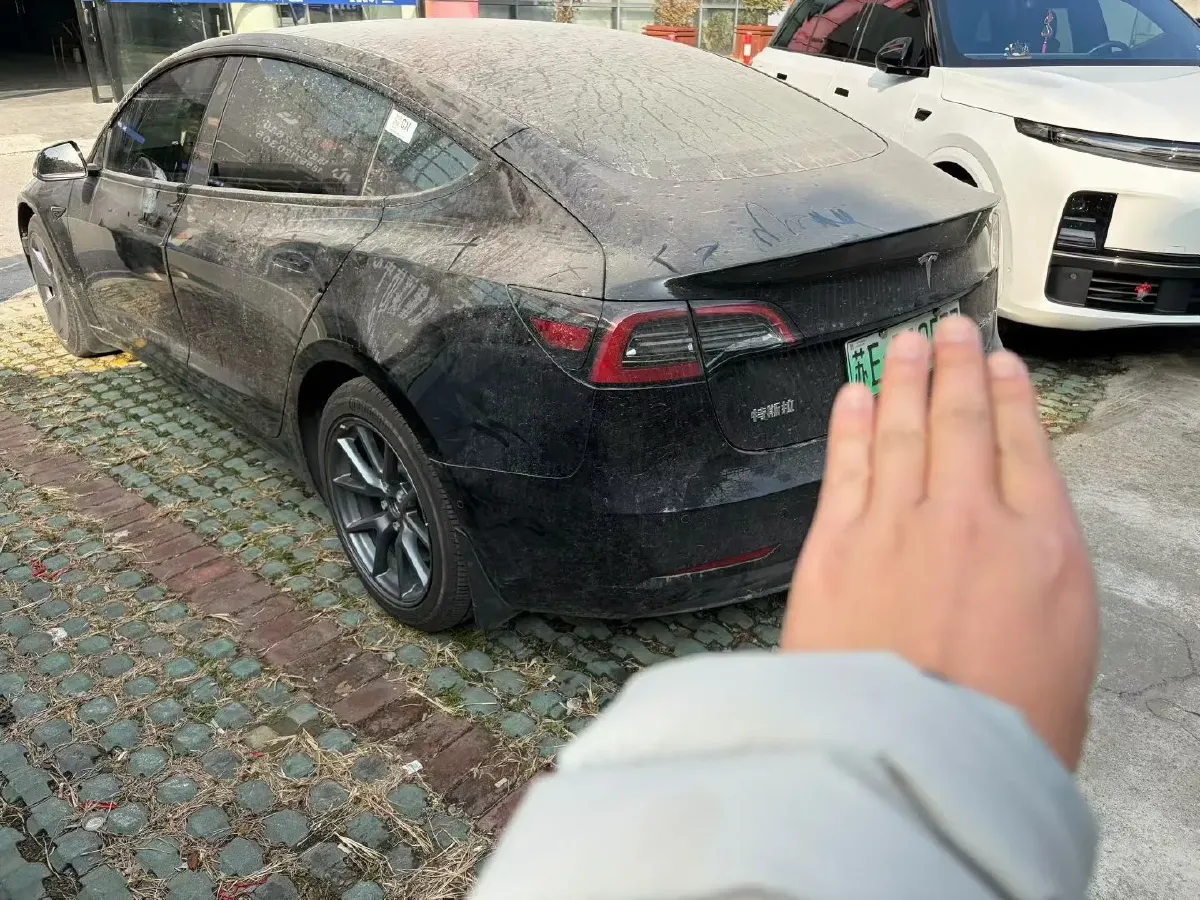 2021 Tesla Model 3 BEV 55KWH,autocango,china used car exporter,china ev exporter,chinese used car exporter,chinese used ev exporter