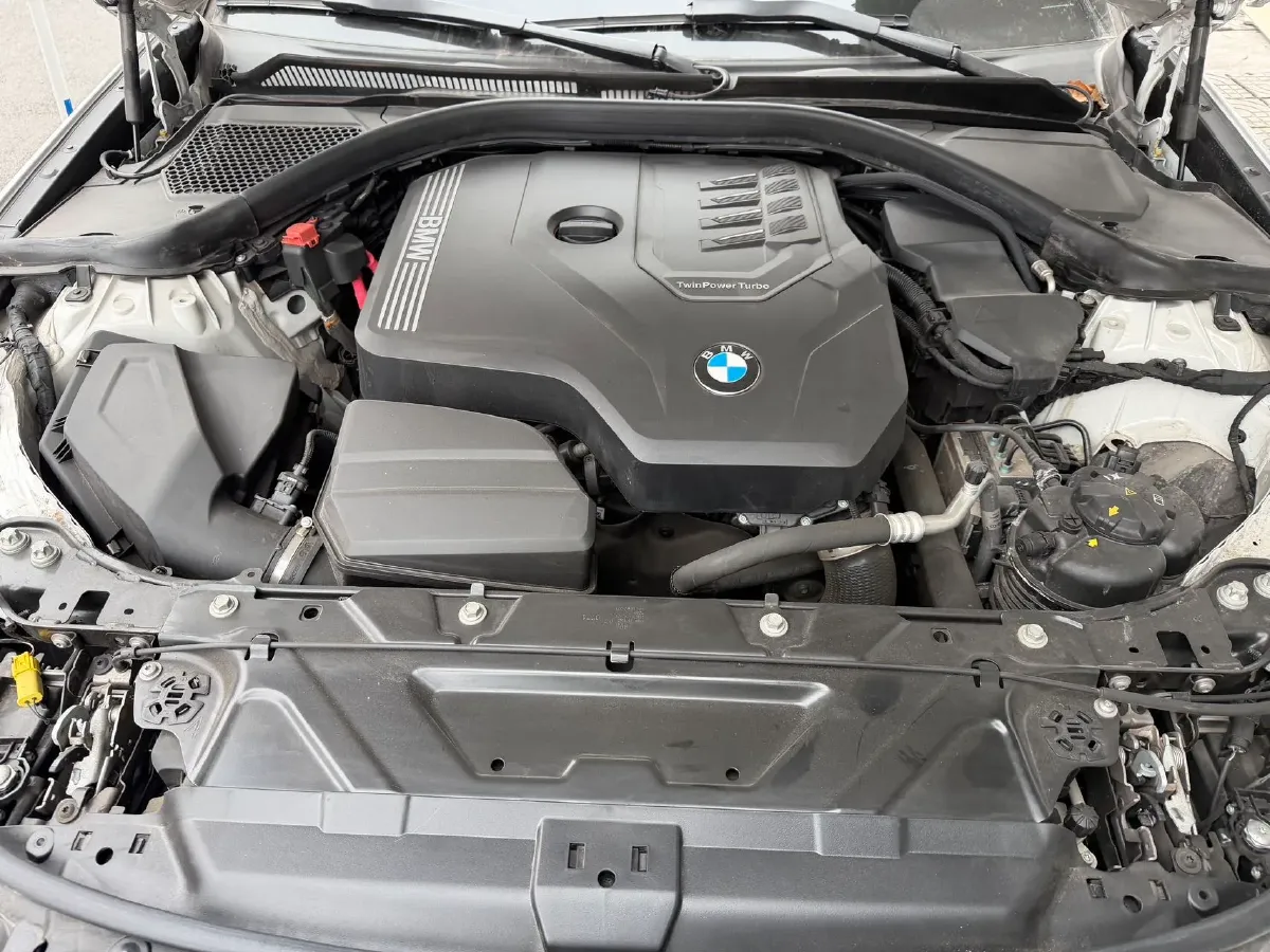 2021 BMW 3 Series 2.0T 156HP L4 8AT,autocango,china used car exporter,china ev exporter,chinese used car exporter,chinese used ev exporter