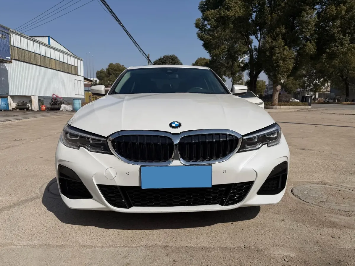 2020 BMW 3 Series 2.0T 184HP L4 8AT,autocango,china used car exporter,china ev exporter,chinese used car exporter,chinese used ev exporter