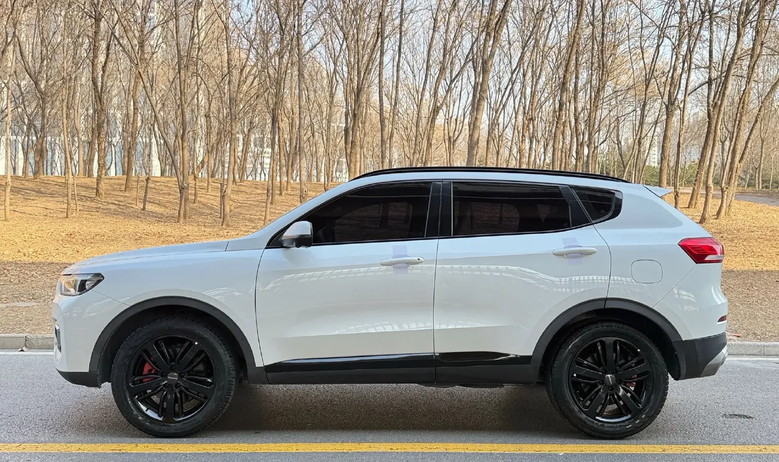 2020 Haval H6 2.0T 224HP L4 7DCT,autocango,china used car exporter,china ev exporter,chinese used car exporter,chinese used ev exporter