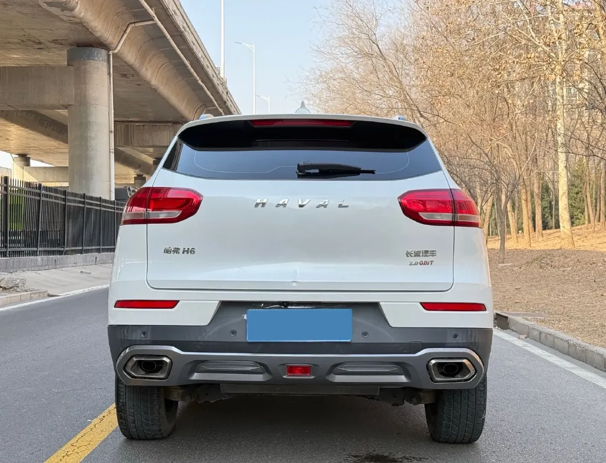 2020 Haval H6 2.0T 224HP L4 7DCT,autocango,china used car exporter,china ev exporter,chinese used car exporter,chinese used ev exporter