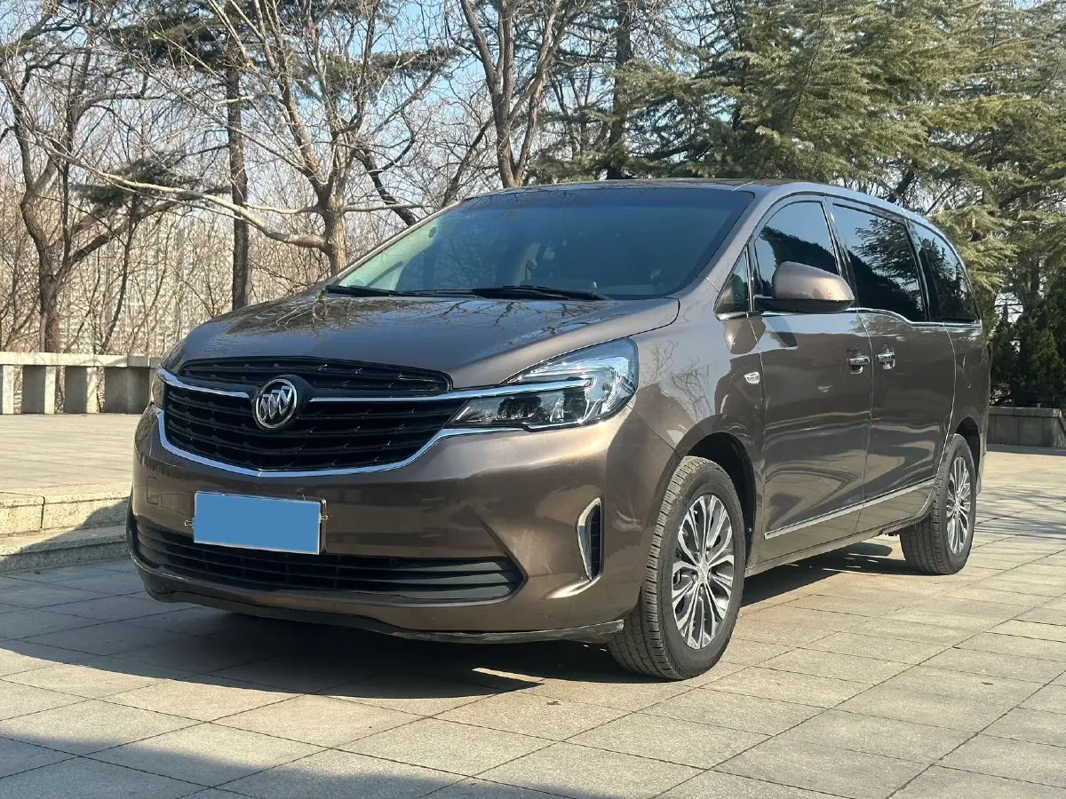 2021 Buick GL8 2.0T 237HP L4 9AT,autocango,china used car exporter,china ev exporter,chinese used car exporter,chinese used ev exporter
