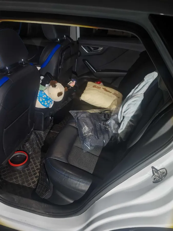 2019 Audi Q2L e-tron BEV 39.7KWH,autocango,china used car exporter,china ev exporter,chinese used car exporter,chinese used ev exporter