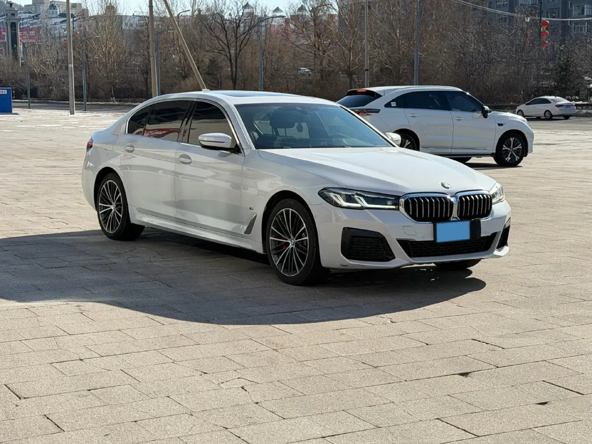 2021 BMW 5 Series 2.0T 252HP L4 8AT,autocango,china used car exporter,china ev exporter,chinese used car exporter,chinese used ev exporter