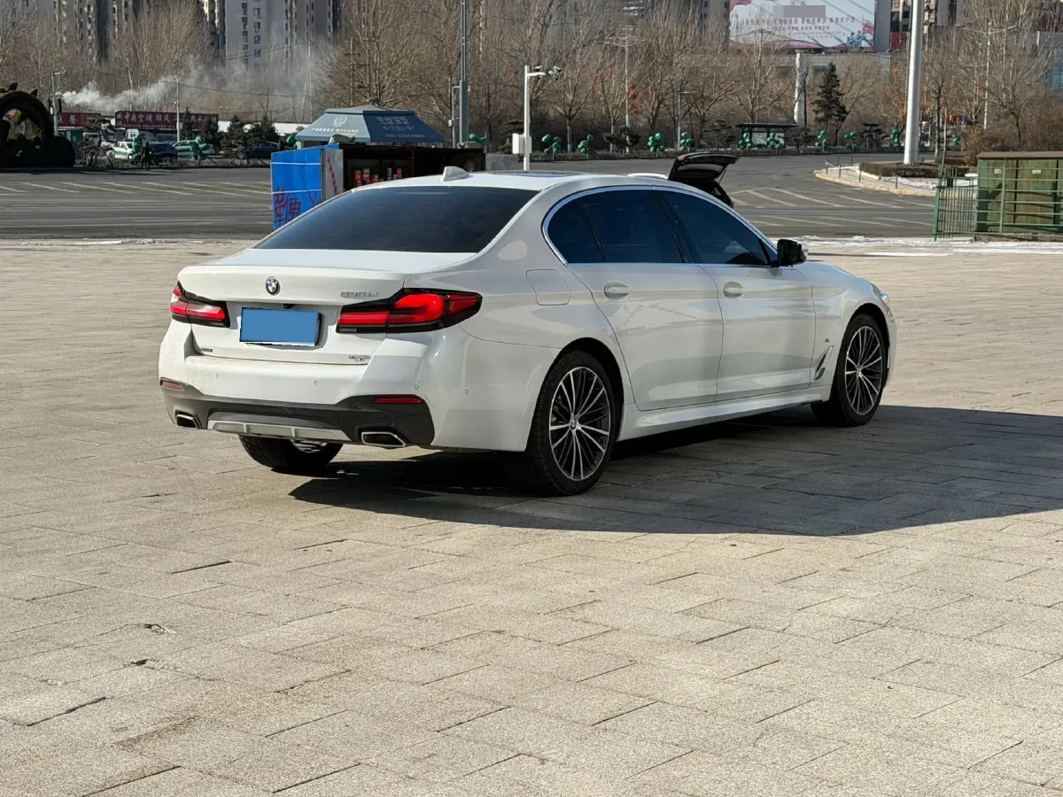 2021 BMW 5 Series 2.0T 252HP L4 8AT,autocango,china used car exporter,china ev exporter,chinese used car exporter,chinese used ev exporter