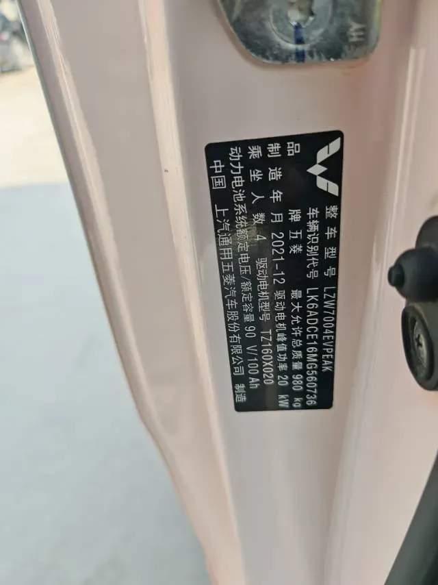 2021 WuLing HongGuang MINI EV BEV 9.3KWH,autocango,china used car exporter,china ev exporter,chinese used car exporter,chinese used ev exporter