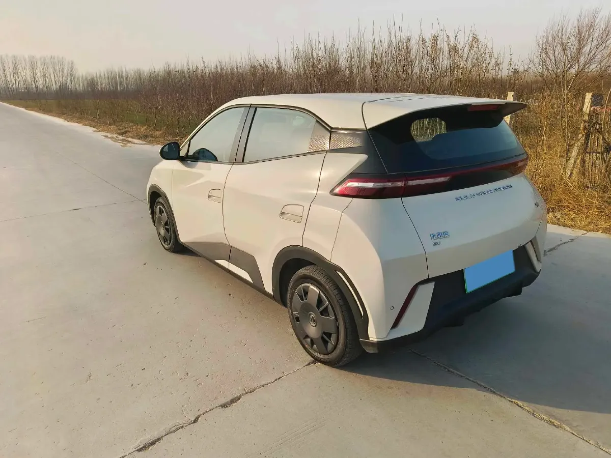 2023 BYD Seagull BEV 30.08KWH,autocango,china used car exporter,china ev exporter,chinese used car exporter,chinese used ev exporter