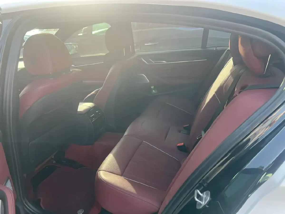 2021 BMW 5 Series 2.0T 252HP L4 8AT,autocango,china used car exporter,china ev exporter,chinese used car exporter,chinese used ev exporter