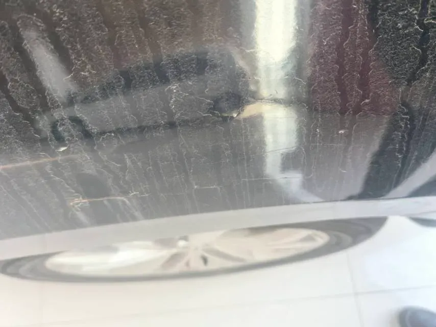 2018 Volkswagen Magotan 1.8T 180HP L4 7DCT,autocango,china used car exporter,china ev exporter,chinese used car exporter,chinese used ev exporter