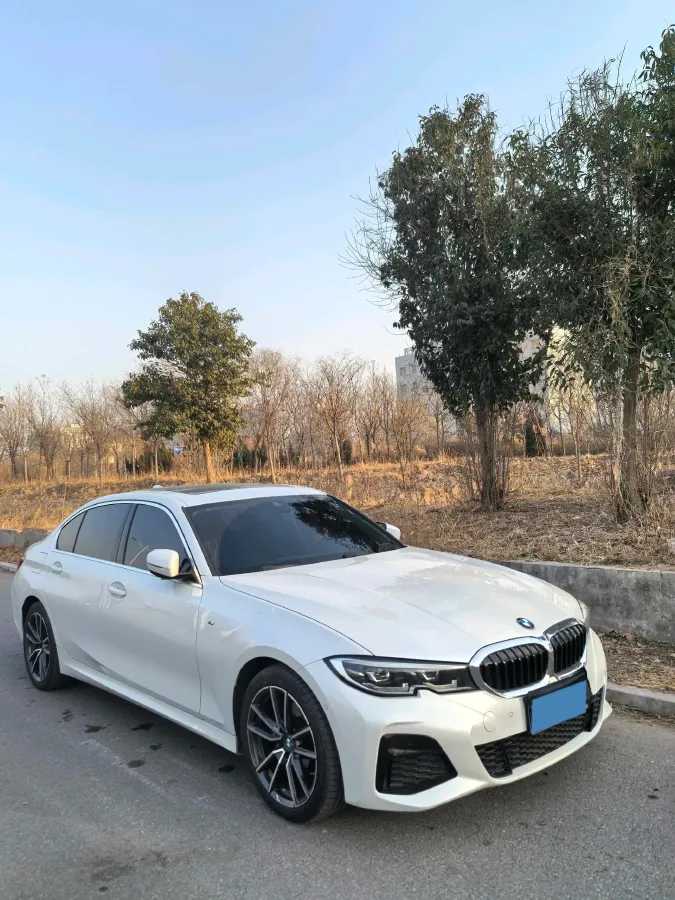2021 BMW 3 Series 2.0T 184HP L4 8AT,autocango,china used car exporter,china ev exporter,chinese used car exporter,chinese used ev exporter
