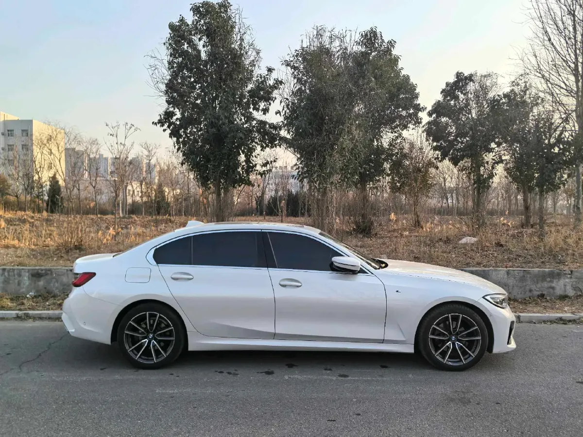 2021 BMW 3 Series 2.0T 184HP L4 8AT,autocango,china used car exporter,china ev exporter,chinese used car exporter,chinese used ev exporter