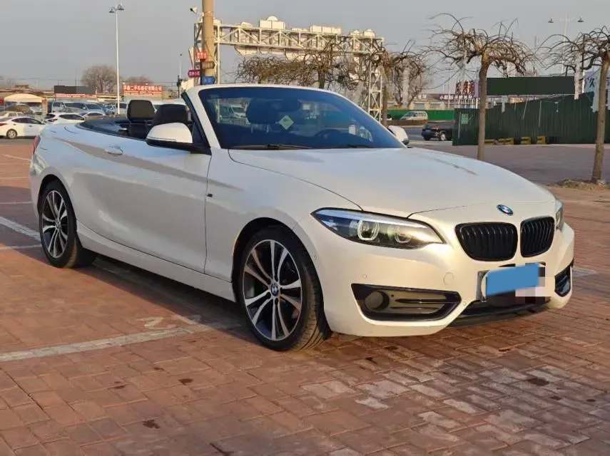 2019 BMW 2 Series 2.0T 184HP L4 8AT,autocango,china used car exporter,china ev exporter,chinese used car exporter,chinese used ev exporter