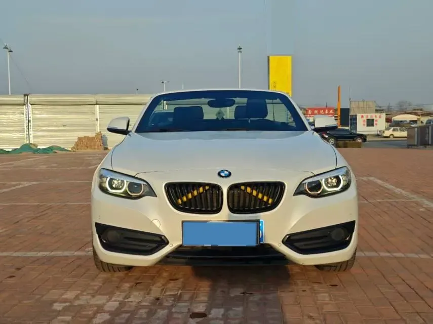 2019 BMW 2 Series 2.0T 184HP L4 8AT,autocango,china used car exporter,china ev exporter,chinese used car exporter,chinese used ev exporter