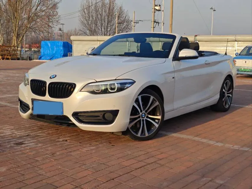 2019 BMW 2 Series 2.0T 184HP L4 8AT,autocango,china used car exporter,china ev exporter,chinese used car exporter,chinese used ev exporter