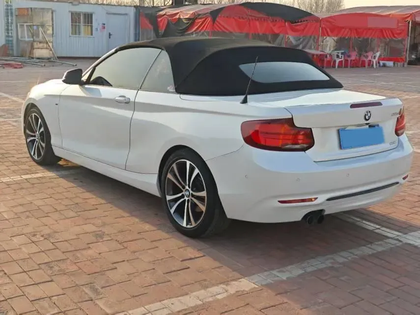 2019 BMW 2 Series 2.0T 184HP L4 8AT,autocango,china used car exporter,china ev exporter,chinese used car exporter,chinese used ev exporter