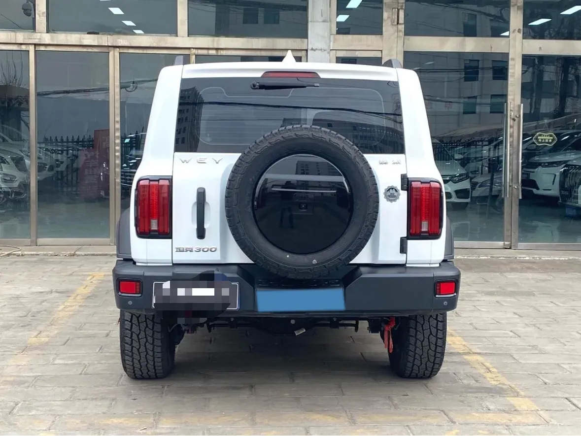 2021 Tank 300 2.0T 227HP L4 8AT,autocango,china used car exporter,china ev exporter,chinese used car exporter,chinese used ev exporter