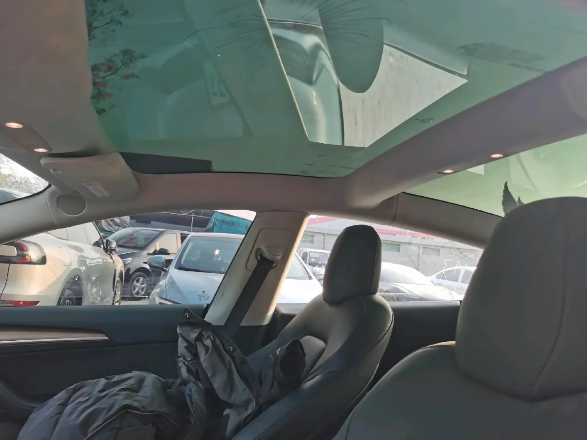 2021 Tesla Model 3 BEV 55KWH,autocango,china used car exporter,china ev exporter,chinese used car exporter,chinese used ev exporter