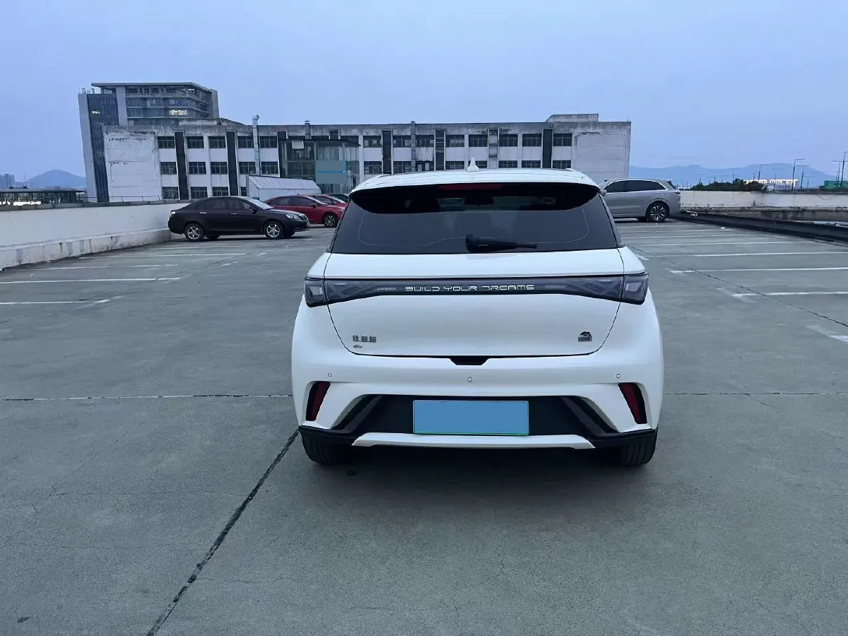 2023 BYD Dolphin BEV 44.928KWH,autocango,china used car exporter,china ev exporter,chinese used car exporter,chinese used ev exporter