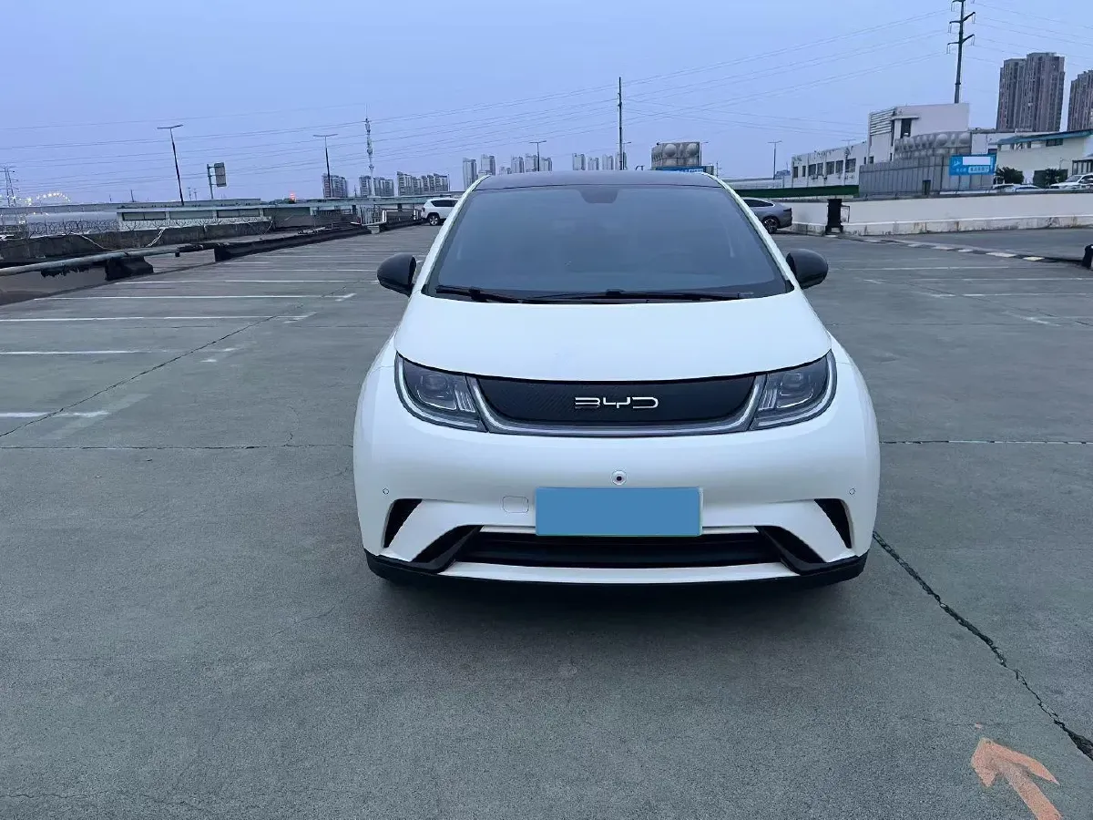 2023 BYD Dolphin BEV 44.928KWH,autocango,china used car exporter,china ev exporter,chinese used car exporter,chinese used ev exporter