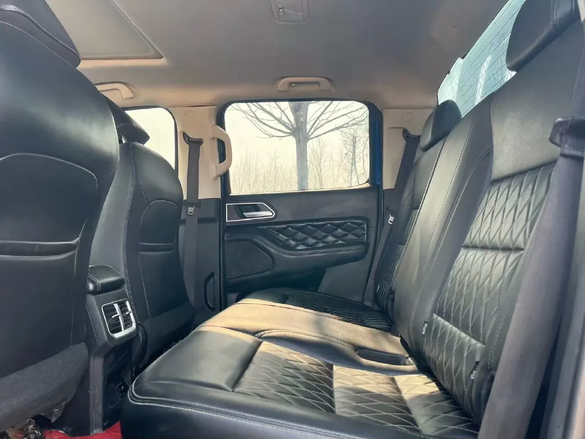 2019 Great Wall Poer 2.0T 190HP L4 8AT,autocango,china used car exporter,china ev exporter,chinese used car exporter,chinese used ev exporter