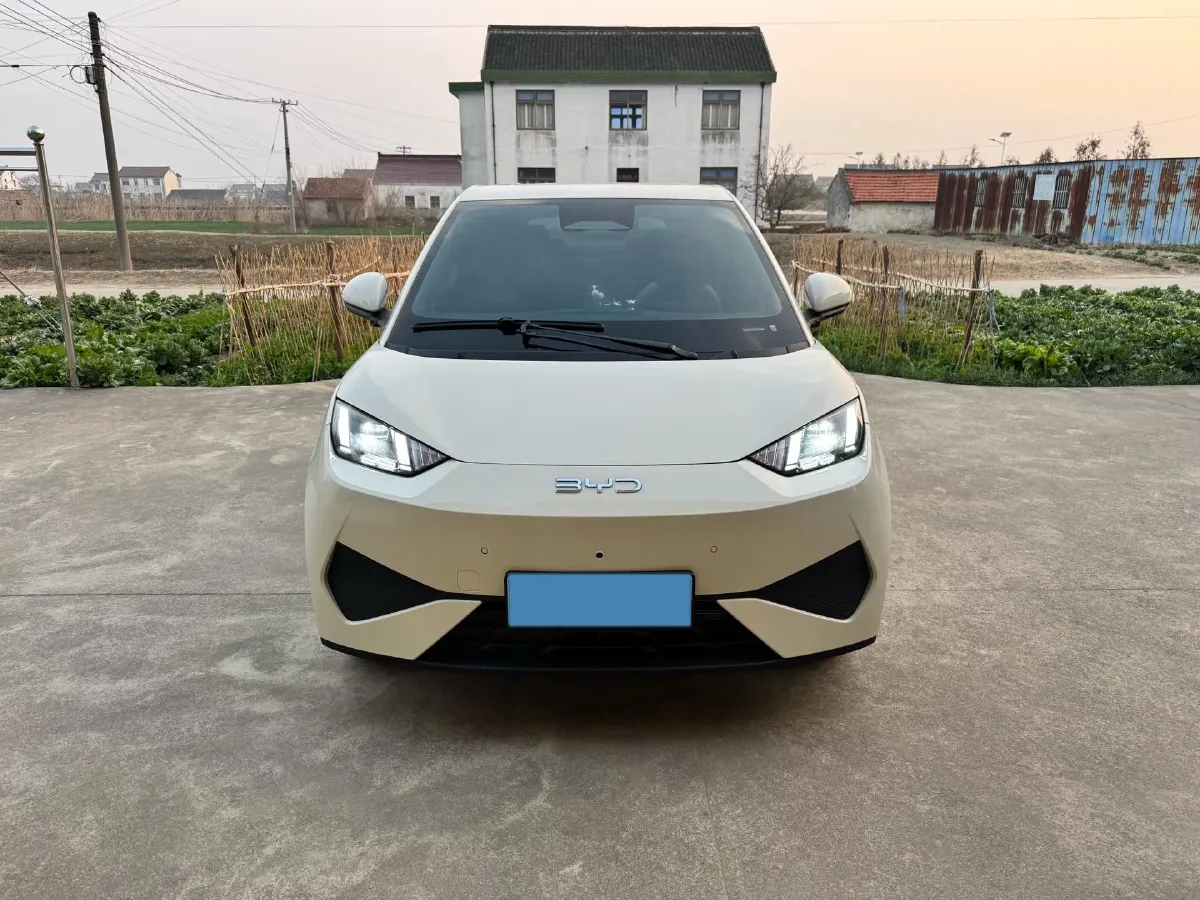 2025 BYD Seagull BEV 30.08KWH,autocango,china used car exporter,china ev exporter,chinese used car exporter,chinese used ev exporter